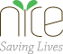 NICE Foundation Logo